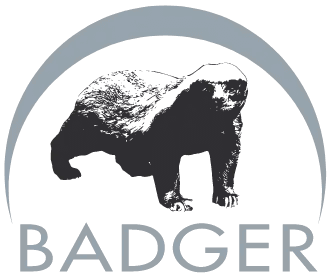 Badger Holdings